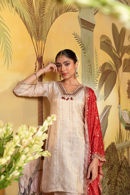 Beige Red Embroidered Suit