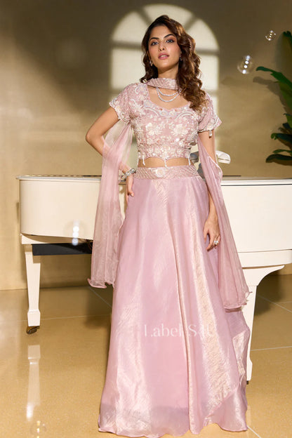 Embroidered Blush Lehenga