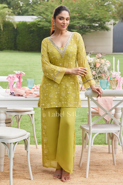 Olive Nectar Palazzo Set