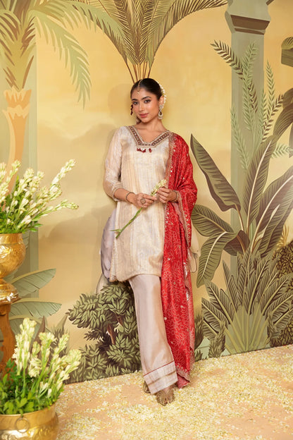 Beige Red Embroidered Suit