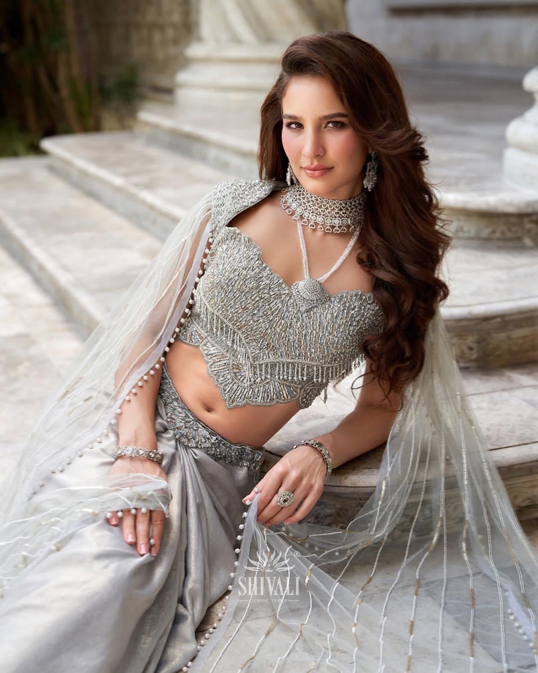 Silver Luxe Saree Set