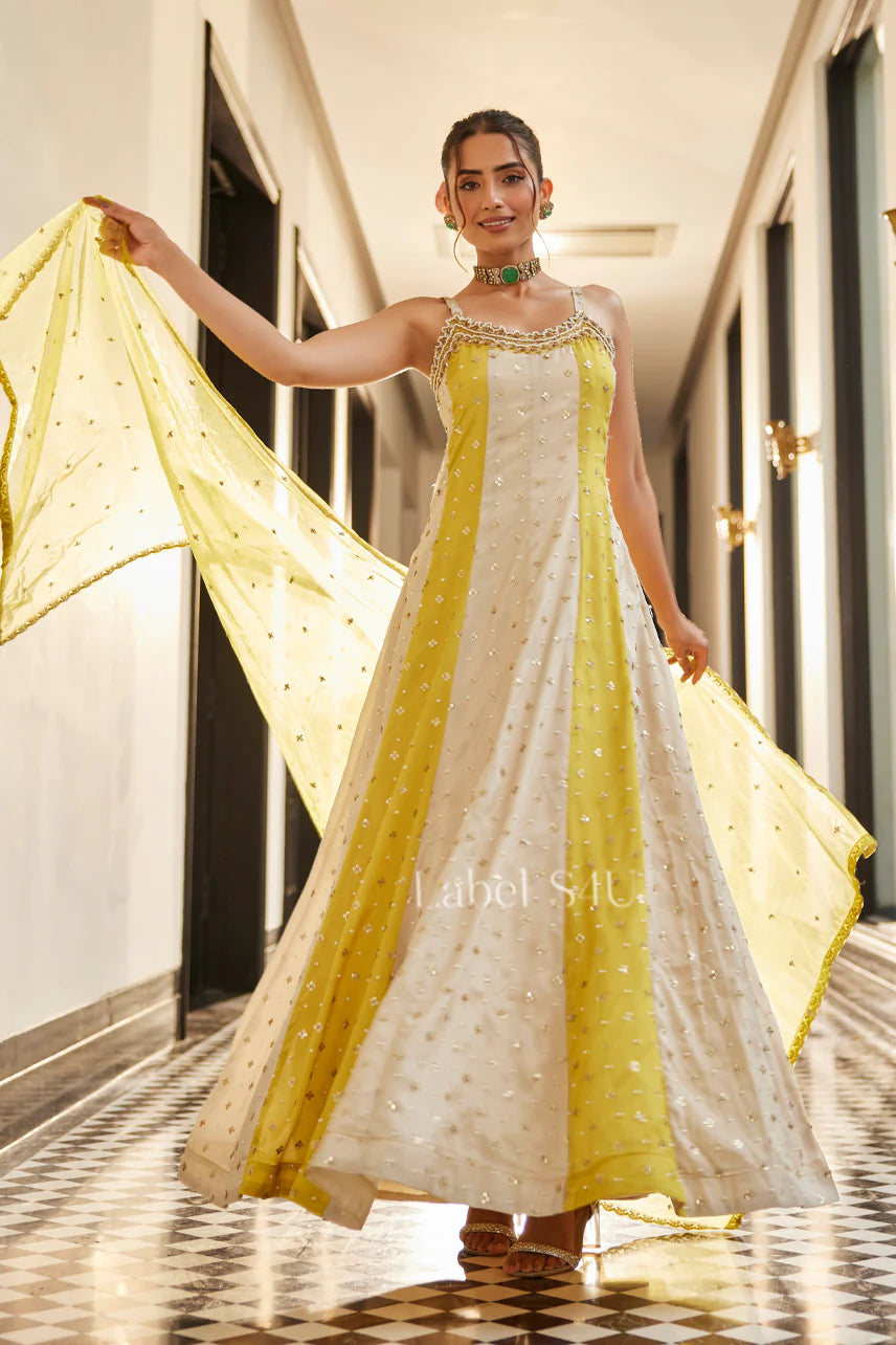 Sunlit Meadow Anarkali Set