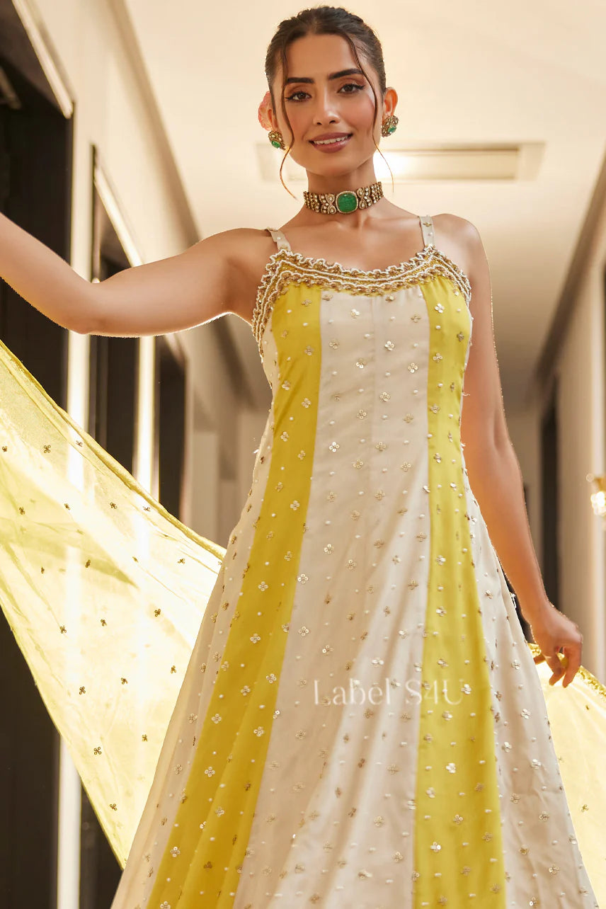 Sunlit Meadow Anarkali Set